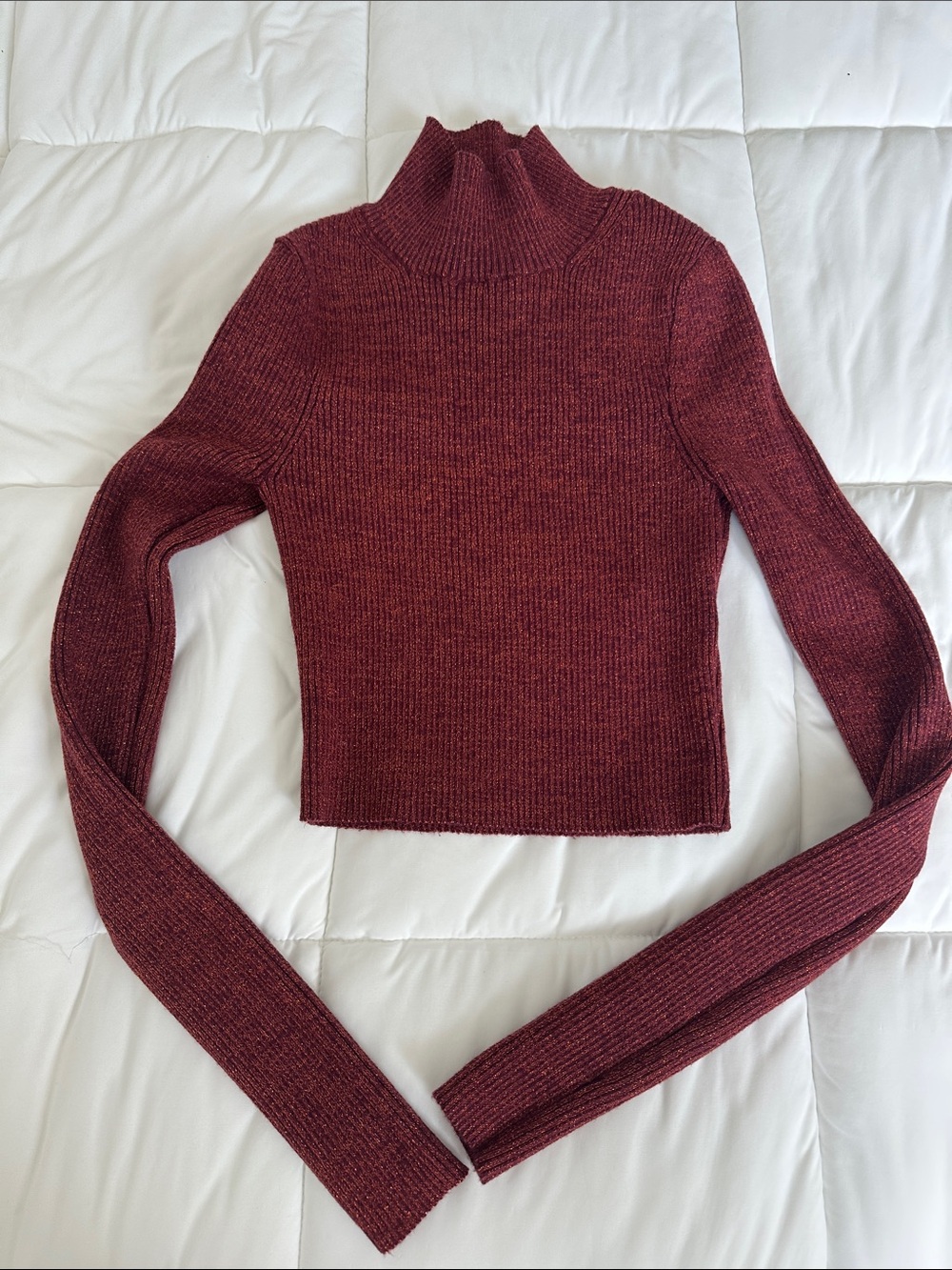 Zara Burgundy Ribbed Turtleneck Sweater